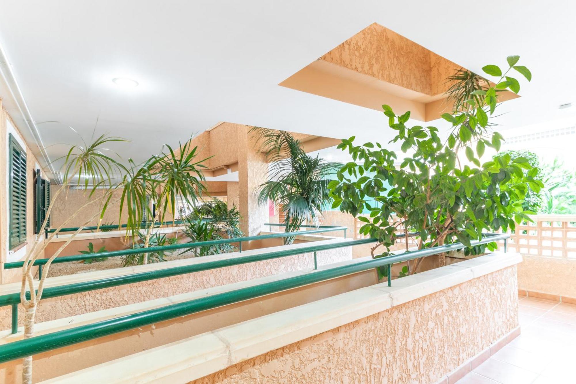 Magnificent Penthouse Alteamascarat Apartment Ngoại thất bức ảnh